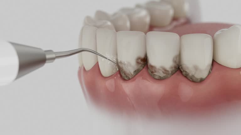 Reliable Dental contractor in Hollins, VA by Dentist Open Now